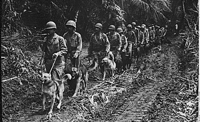 WWII Dogs