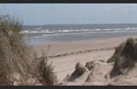 Request Information