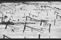 A-3) Ramps, hedgehogs, mine-tipped poles, and tetrahedrons on a Normandy beach. US Air Force