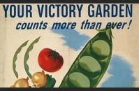 Your victory garden counts more than ever!