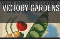 Victory Gardens